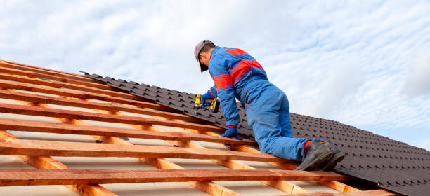 Best Skylight Installation and Repair  in O, MI